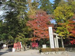 椿大神社
バスだと時間がかかる場所にあります
導きの神様
猿田彦大本宮とも呼ばれるようです
猿田彦大神を祀る神社の総本社ですね