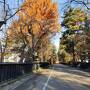 秋田県乳頭温泉・角館・男鹿半島１泊２日旅行（２日目）