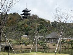 11月末、娘と三溪園にぶらりとお散歩に。