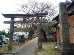 行田前玉神社でも花手水が見られるというので、参拝してきました