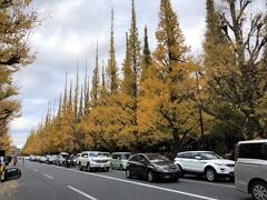 11/23(月)　14：20

三連休最後の日、連日コロナの感染者が増大。

ここ一週間で、感染者の拡大は怖ろしいほどだ。