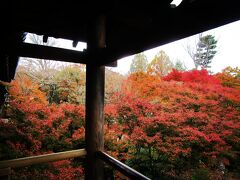 通天橋からの紅葉。かなり落葉が進んでて残念だけど写真だとアングルによってはいい感じ？！
