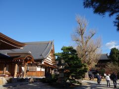 庭園・国宝・大イチョウ

この認識で正しいのかな
拝観料無料の立派なお寺です

