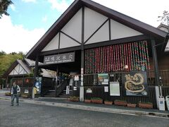 一度迷い込んだら出てこれないといわれている富士山のふもとの青木ヶ原樹海
その樹海の中に、１１００年以上前に長尾山の噴火で流れた溶岩流が作り出した洞窟のひとつが「鳴沢氷穴」。
