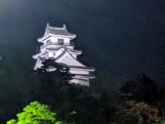 さらにホテルに向かって歩いていると高知城が見えてきました！
ホテルは高知城の目の前ですが、部屋がお城とは逆サイドだったので今回の旅でみる初めての高知城にテンションが上がりました。