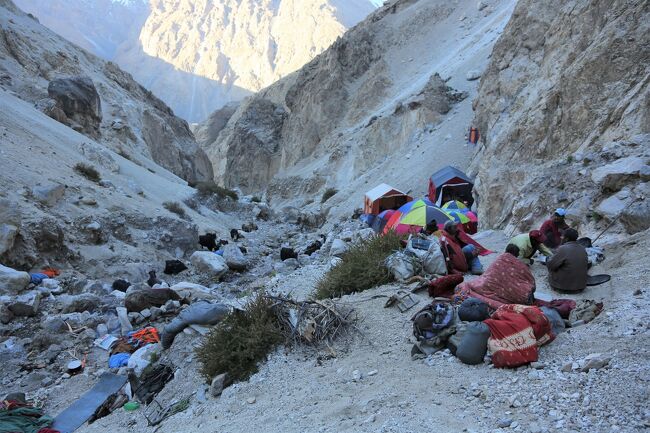 陽が昇って来たよ～・・・早く行こうよ！