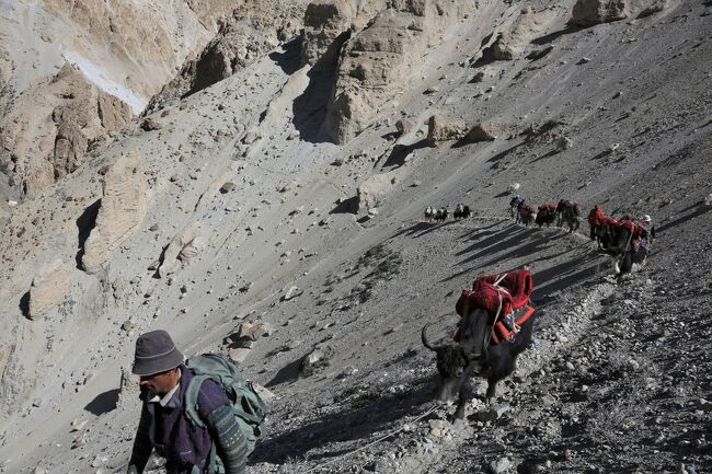 快適なヤクトレッキングが続く…って思うじゃんね。<br /><br />