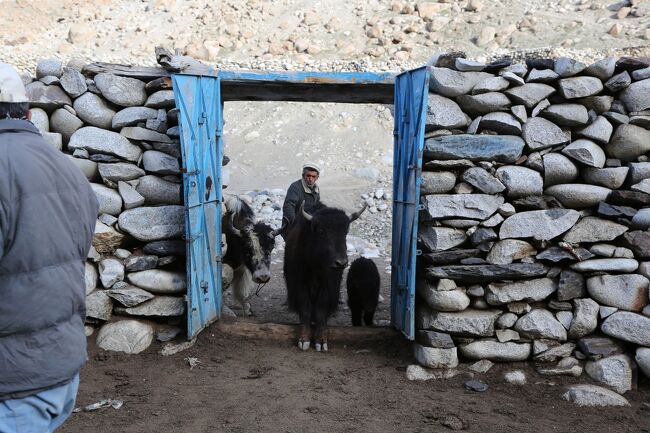 今日はここで待機して、長老の「今日はクッチだぜ～！」という命令を待つ。運が良ければ、明日にも大移動が始まる。<br />