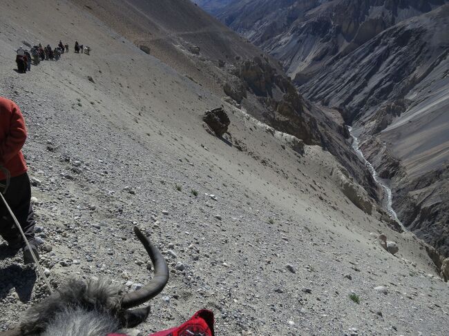 快適なヤクトレッキングは続く・・・<br /><br />恐怖の一瞬を捉えました。<br />https://youtu.be/No63EpIpy60