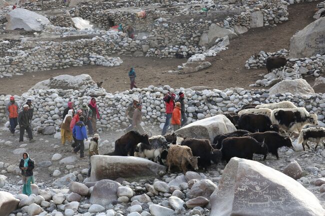 こんな山奥に大集合。