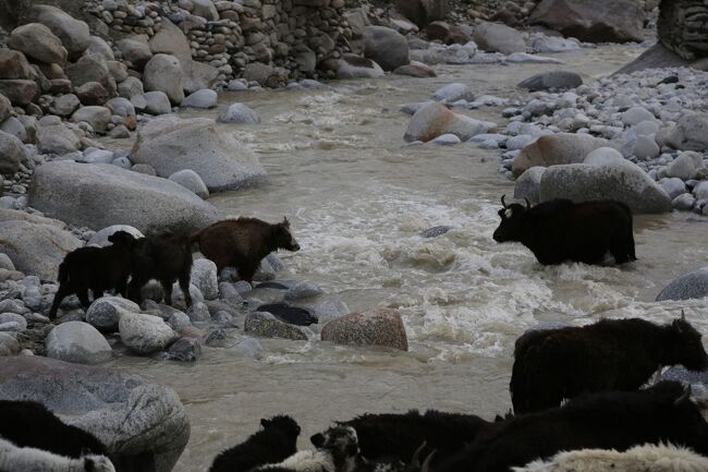 お母さんが・・