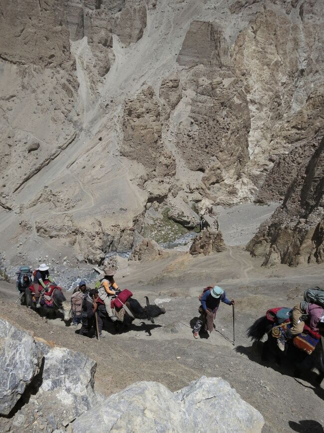 上りは半分以上ヤクで行けるし。