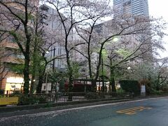 日本橋人形町から浜町、隅田川方面に作られた緑溢れる遊歩道で、車通りが多い場所から外れているのでとても静かに散歩ができる。浜町緑道には桜並木も作られているので、4月の桜の見頃の時期には桜が咲き誇り美しい。