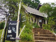 川越の街なかはすごい混んでて駐車場も止められないくらいだったので、東松山市まで行き「ガーデン＆カフェプラナス」というお店に行きました