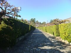 　御城番屋敷、いわゆる武家屋敷。今も普通に人が生活しています。