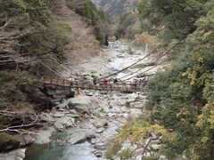 祖谷のかずら橋。水が綺麗。お天気はパッとしない。
大歩危では道に苔がもりもり育っていた。もしかしたらずっと湿気がちなのかも。