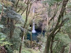 展望デッキからみる浄蓮の滝です。伊豆市が接してくれたそうです。ここで見るので充分ですね。
滝壺までは急な道を歩かねばなりません。
駐車場から下りは片道１０分くらい。帰りは登りですからもっとかかると見込みましょう！バスツアーならなおさらです。
時間内に戻れなくて添乗員さんに怒られます＾＾