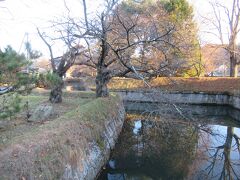 龍岡城五稜郭