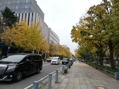 そして日本大通り。ここのイチョウ並木をもう一度見たかった、私に見せたかったそうです！
広い歩道に花壇があり、大きなイチョウの木が立派です。
