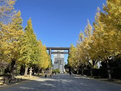 神楽坂を下り、神田川を渡って、早稲田通りを進むと10分ほどで靖国神社に。イチョウ並木が最高でした。

靖国神社に来るのは約10年ぶり。すごくきれいになっていました。
