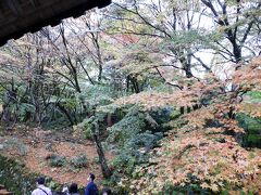 百済寺の紅葉