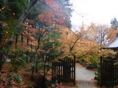 金剛輪寺の紅葉