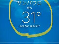 【ブラジル、ポツポツ...】

南半球のブラジルは、もう夏！

でも、同時に雨季に入ってしまい、毎日 雨が続いていた...

今日は、本当に、久しぶりに快晴の週末！

ああ、気持ちが良い...