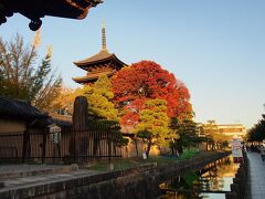 抜けるような青空。
紅葉の京都を素通りして帰るのもいかがなものかと東寺(教王護国寺)へ寄り道。