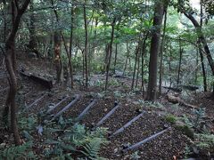 その軌道跡を進むと、道は行き止まりになっていた。
ただ、地図を見ると、早雲公園へと登れるようになっている。
探してみると、廃墟の裏手に獣道のようなものがあったので思い切って登ってみると、途中から整備された道になった。
ところが、登り切った所は尾根道のような場所で、道が途中で別れたりと公園内とは思えないほど自然のままだった。