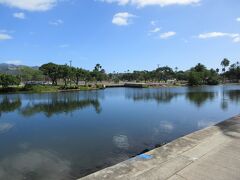 　やはり！　水は綺麗だ。空の青が水に映える。川の水が流れ込んでいるので濁りがない。