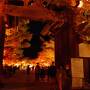 Gotoで行く三度目の京都【1】永観堂の紅葉ライトアップは落葉多しでした。