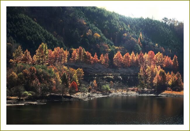 Solitary Journey［2044］紅葉観賞♪のどごえ公園のメタセコイア＆千代田の古い町並み＜土師ダム＆旧石見街道＞広島県安芸高田市