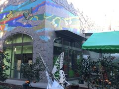 こちらは伊丹市営の昆虫館！

姪っ子が小さい時に連れて来たけど、虫嫌いの姪っ子はビビリまくってずっと泣いてた…

連れて来たことを後悔した覚えが(^_^;)