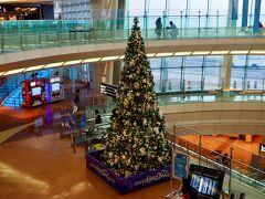 もうすぐ12月、ということもありターミナルにはクリスマスツリー。
第2ターミナルのクリスマスツリーは、どちらかというとANAカラーにまとまっているのかな。