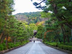 こちらは、長楽寺の総門に一直線に続く参道。
両側が松並木になっていて美しい。