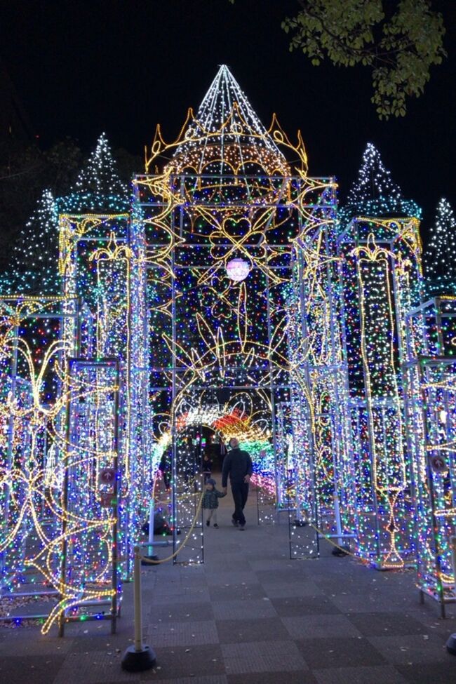 ホテルの前<br />平和通りにイルミネーション<br />残念ながらお部屋からの眺望は逆側でした