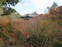 新幹線でお昼過ぎに京都駅に着き、荷物をコインロッカーに預けて
最初に向かったのは東福寺。
行列を覚悟していたけど、紅葉のピークが過ぎているため並ばずに
すみました。

真っ赤な紅葉の中に浮かぶ通天橋を期待して来たのですけどね、
すでに遅かったようです。

写真は臥雲橋から望む通天橋
