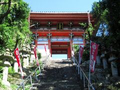 続いて、すぐ近くにある紀州天満宮にもお参りすることにしました。紀州天満宮は1621年、徳川頼宣によって南海道の総鎮護として創建されました。こちらも本殿までは急な石段を上る必要があります。