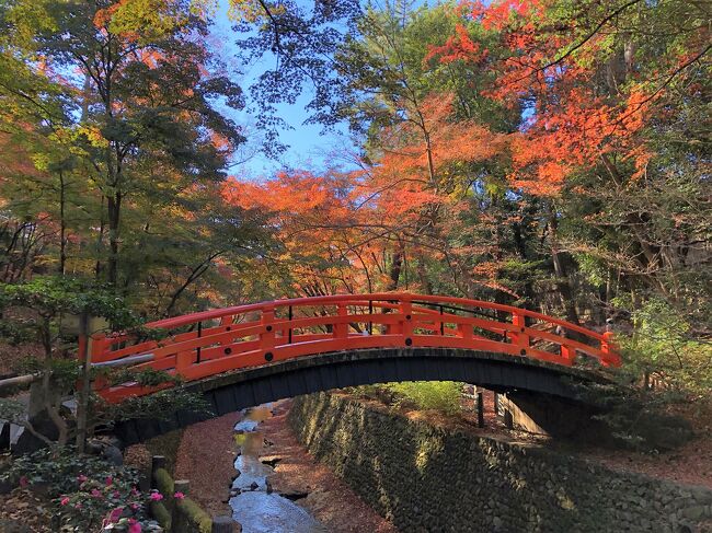 京都『北野天満宮』の「史跡御土居のもみじ苑」の太鼓橋からの紅葉☆入