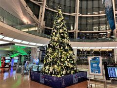 先日も撮りましたが
羽田空港のクリスマスツリーです。
