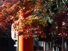 Google先生のお導きでやってまいりました下鴨神社。

下鴨神社は、京都の中でも紅葉がめっちゃ遅いらしいので、期待しております。