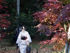 下鴨神社(賀茂御祖神社)