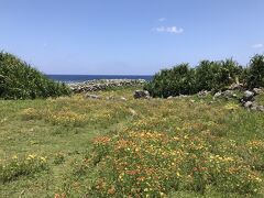 武士屋跡（ぶしぬやーあと）に続く道には花が可愛らしく咲いている。