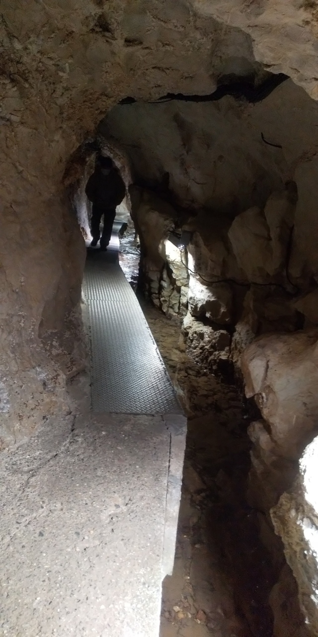 紅葉の四国その2高知ー高知城 桂浜 はりまや橋 大歩危 龍河洞も面白い 年11月7日 14日 高知市 高知県 の旅行記 ブログ By 13tomoさん フォートラベル 紅葉の四国その2高知ー高知城 桂浜 はりまや橋 大歩危 龍河洞も面白い 年11月7日 14日 高知市 高知県 の旅行記 ブログ By 13tomoさん フォートラベル