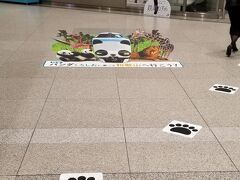 大阪からはあっという間の1駅で新大阪に到着
環状線から直で行けるようにならないかなぁ

「パンダくろしお」の宣伝が(^○^)
可愛いなぁ～
乗ってみたい