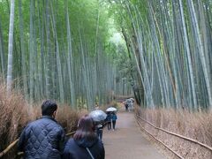 休日の午前中。このご時世ですので、外国人の姿はほとんどありません。
でも日本人は多いです。修学旅行生の姿も多く目立ちます。
今までは外国人観光客が多すぎてその印象ばかりだったけど、本来なら京都は修学旅行の定番なんだよなぁ～と改めて感じました。
まずは外せない、竹林の道へ。
