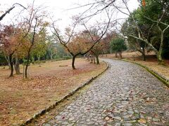 次は竹林の道の先にある、亀山公園（嵐山公園亀山地区）へ。
こちらは紅葉というか、すでに落葉に近いような…。