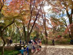 糺の森に来ると

保育園時が遠足に来ていました

こんな場所を歩けて幸せだね !!