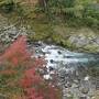 秋の伊豆旅♪　Vol.59　☆湯ヶ島温泉：美しい秋の湯道めぐり♪