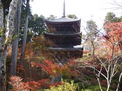 常楽寺